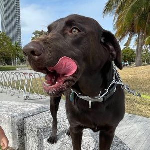 Meet your Posher, Yaima